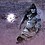 amar_man