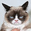 grumpycat