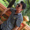 jignesh_aghav
