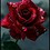 sumit.pathade