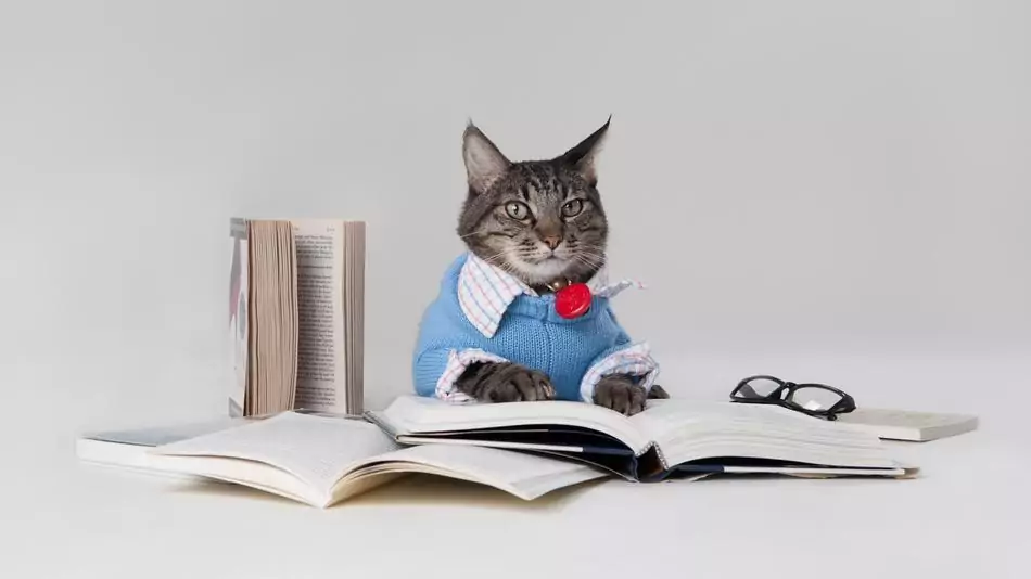 cat exam books