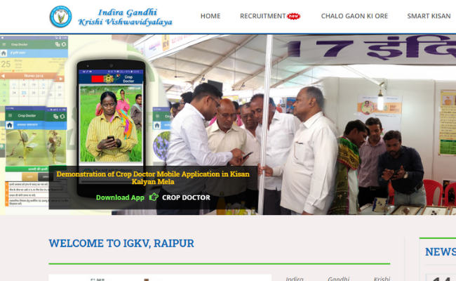 IGKV Raipur Recruitment 2019