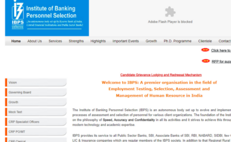 IBPS Clerk Prelims 2019 Scorecard 