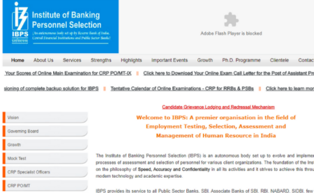 IBPS PO 2019 Interview Call Letter 