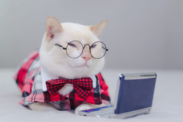 Last-Minute CAT Checklist: All You Need to Know About the CAT 2023 Exam